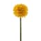 Yellow Billy Ball Stem by Ashland®